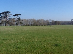 Burton Pynsent Monument in the distance. Built in 1765 by William Pitt the Elder