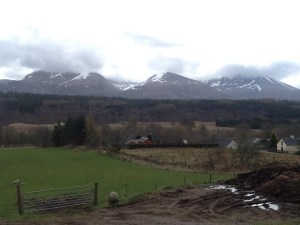 B8004, running above and alongside the Canal