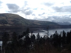 Forest view Great Glen Way