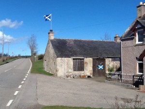 How do you think they voted in the Referendum?