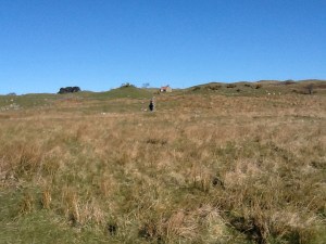 Quiet road on the way to Crask