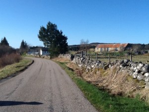 Photos of roads...but so perfect for cycling