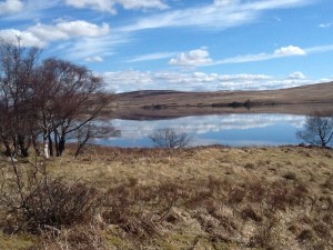 We looked for a long time