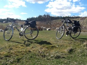 A stop for lunch and the sheep got curious...