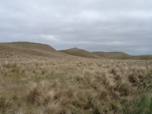 The landscape just kept changing every few miles, sometimes bleak with heather, then farms and sheep, then this