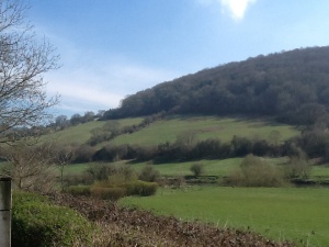 Fab cycling along the Wye Valley