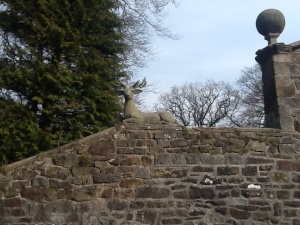 Loved this stag on the gate of Browsholme Hall