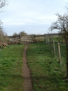 Cycle Path got a bit narrow
